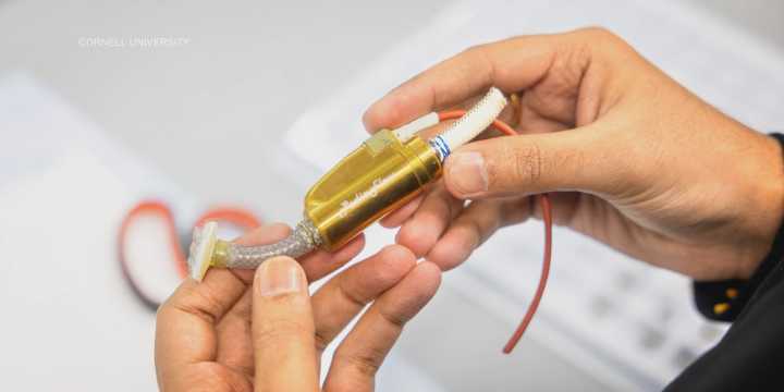 Stop-work order issued to life-saving heart valve research at Cornell University