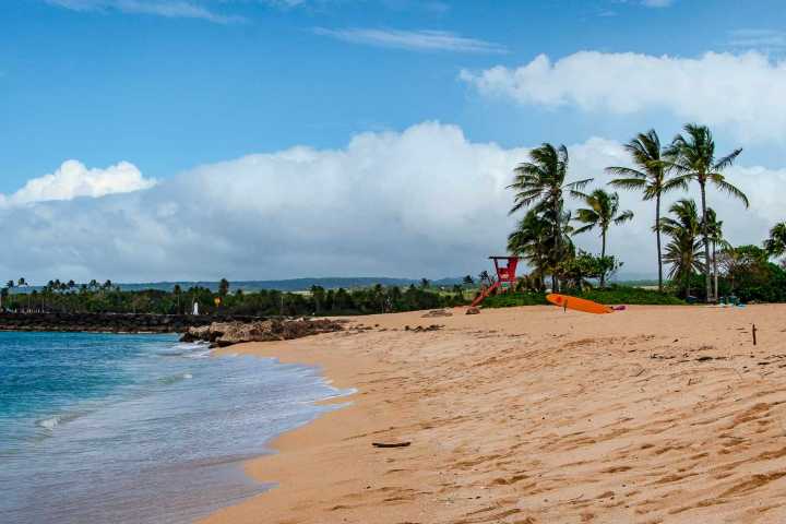 Zika Virus Confirmed in Popular U.S. Tourist Destination