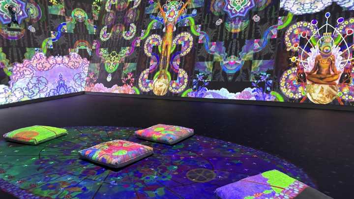 Enter the dreamy world of Saya Woolfalk at the Crow Museum's UT Dallas location