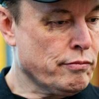 Funny old world: the week's offbeat news