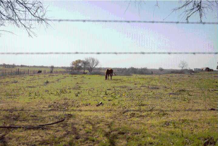 Texas moves close to ban on some land sales to foreigners