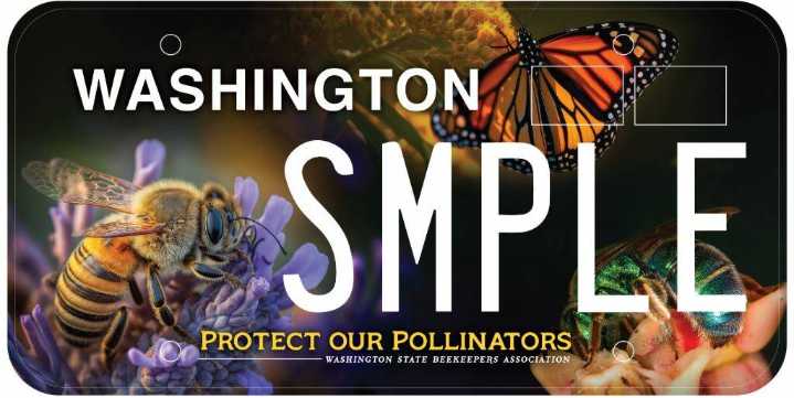 Smokey Bear, pickleball, and pollinator license plates on the way in WA