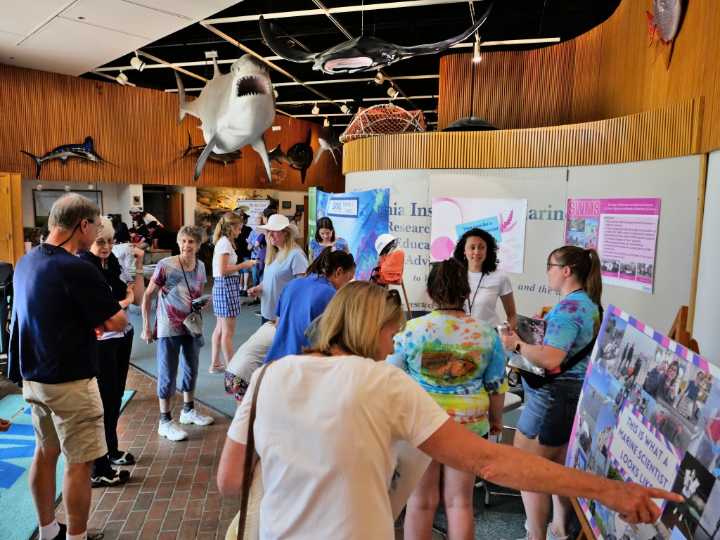 VIMS to host Marine Science Day on Saturday