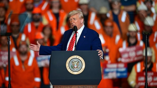 Trump says he plans to double steel and aluminum tariffs