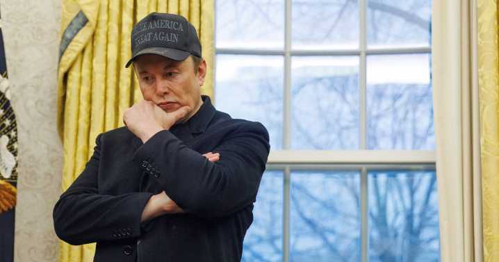 Musk’s Government Job Did Not Curb His Ketamine Habit