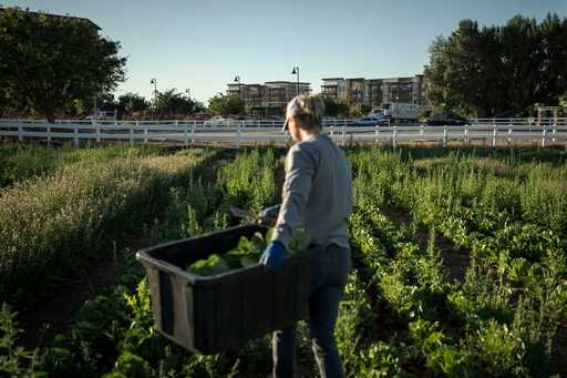A little bit of farm, a little bit of suburbia: That's the recipe for Gilbert's Agritopia