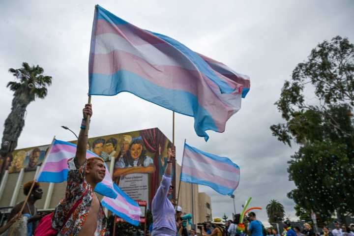 Most LGBTQ+ adults feel Americans don't accept transgender people, poll finds