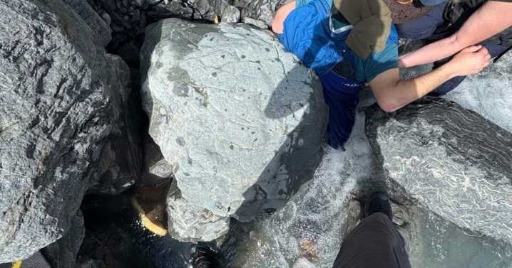 Alaska man unscathed after being pinned for hours by 700