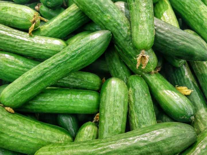 More Companies Recall Cucumbers and Cucumber Products Linked to Multistate Salmonella Outbreak