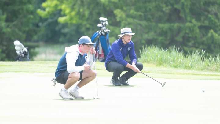 Harper Creek's Joey Mario leads a group of area boys golfers to state