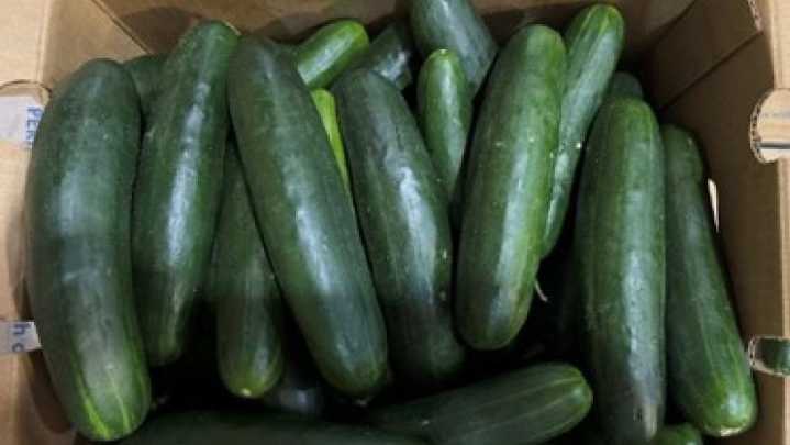 Cucumber recall: Florida farm linked to 2nd Salmonella outbreak