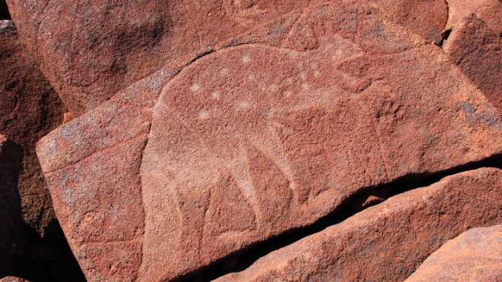 Ancient rock art under threat as Australia gives ‘proposed’ approval to gas plant extension