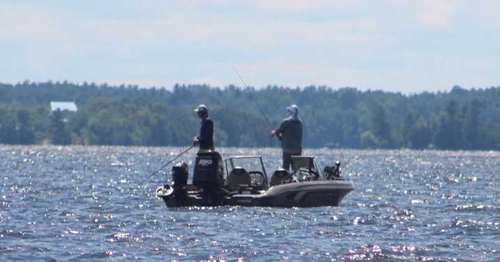The ANS Impact on Upcoming MN Muskie Season