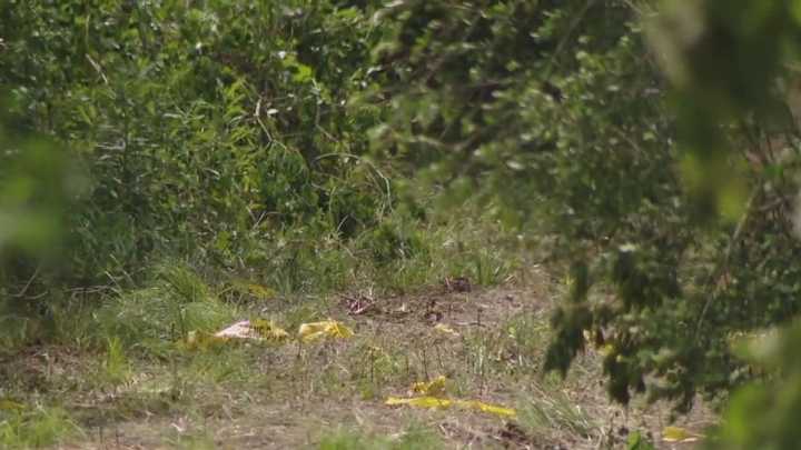 Chambers County: Man, teen grandson killed in Hankamer plane crash, officials say