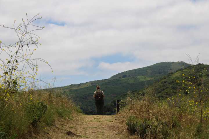 Free Things to Do: Summer Celebrations and Cardio Hikes in OC
