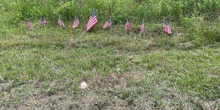 Chester community advocate wants more for abandoned African American cemetery