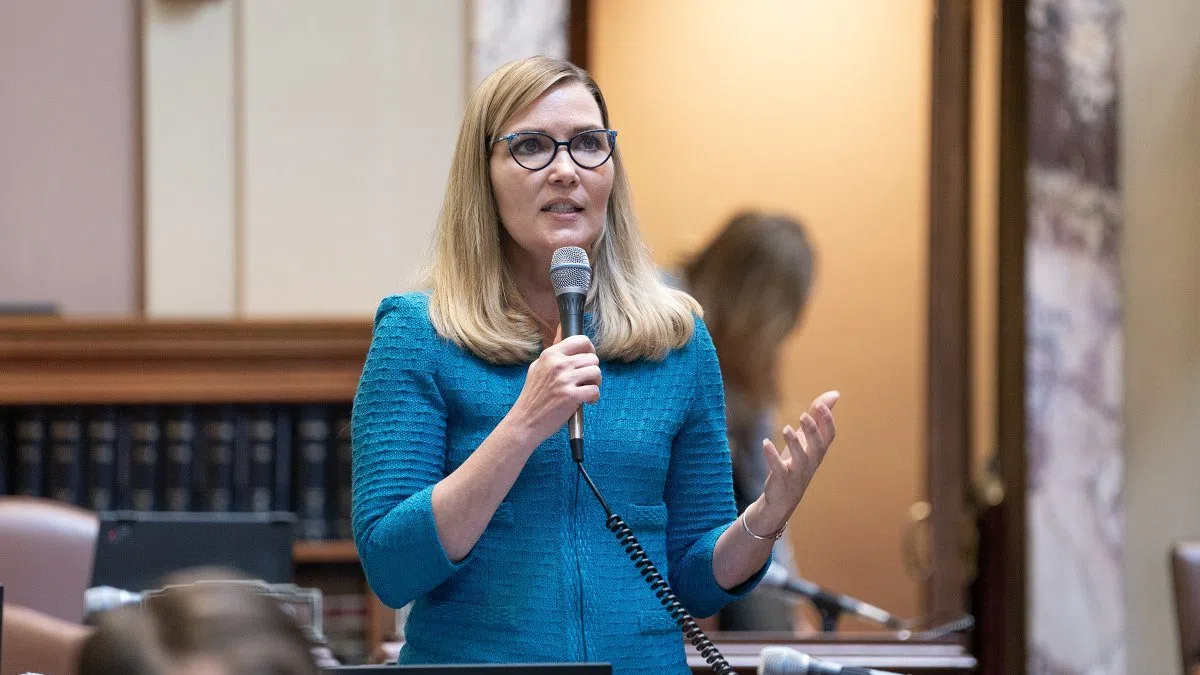 Lawyers For Senator Nicole Mitchell Ask Court To Dismiss Burglary Tool Charge