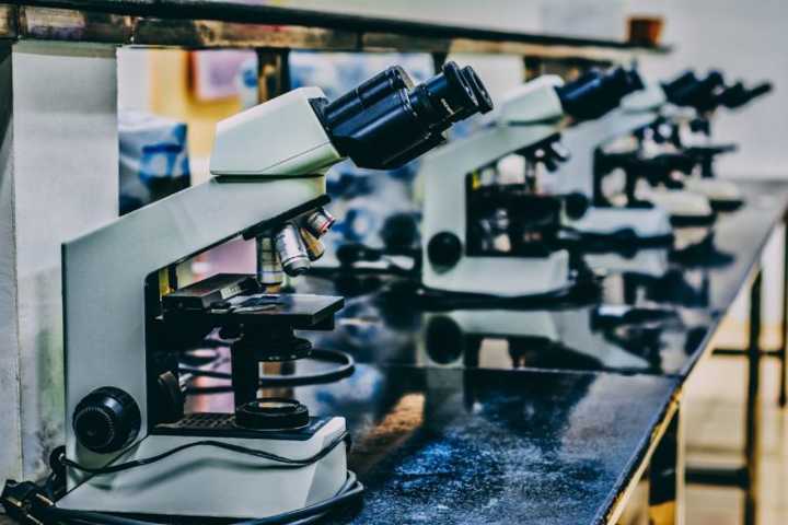 Best Biotech Stocks Right Now • Updated Daily • Benzinga