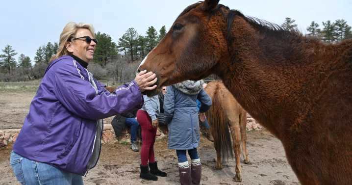 'Life can be good again': Local program brings healing to vets, military families through animal therapy