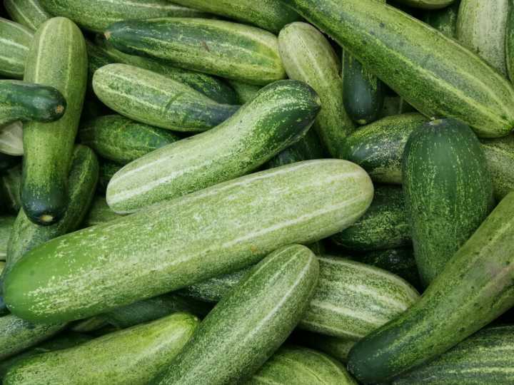 Salmonella Outbreak in TN, 14 Other States Tied to Cucumbers