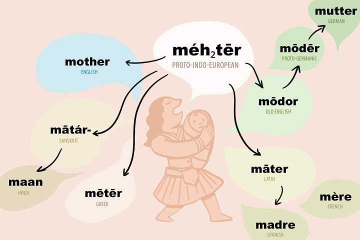 Proto by Laura Spinney is a revelatory history of human language.