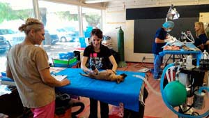 48 HOUR MASH FREE SPAY/NEUTER CLINIC A SUCCESS