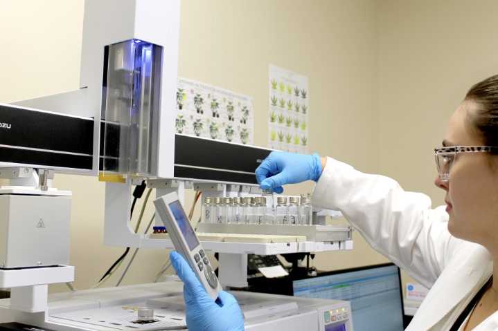 Texas Senate votes to expand medical cannabis ...