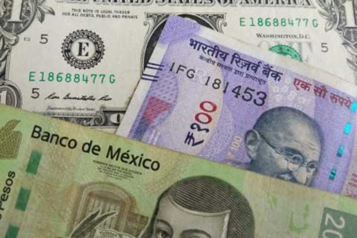Best ECN Forex Brokers in 2025 • Benzinga