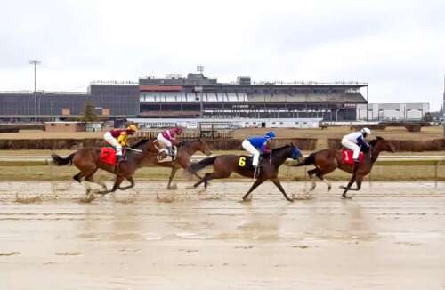 The Biz Week That Was: Bid to revive horse racing, a new Whole Foods, and auto racing simulator studio opens