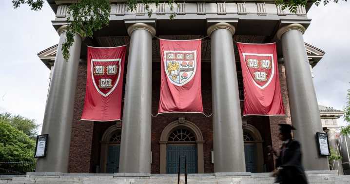 How Trump’s war on international students works against his own interests