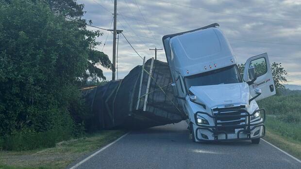 Millions of honeybees loose after truck overturns near B.C.