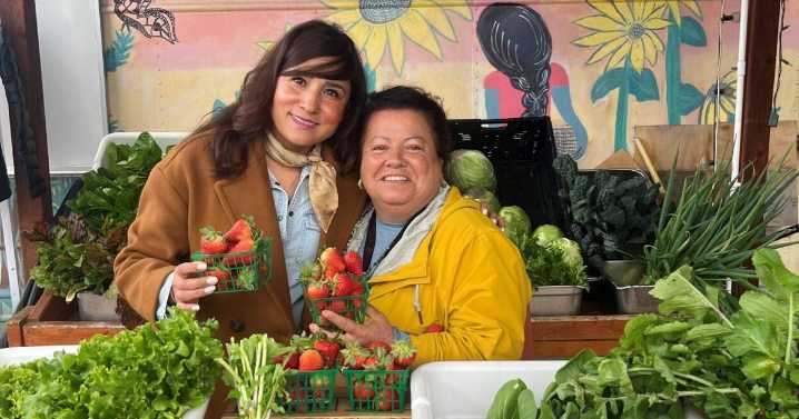 CIELO Fund grants $450K to 40 organizations