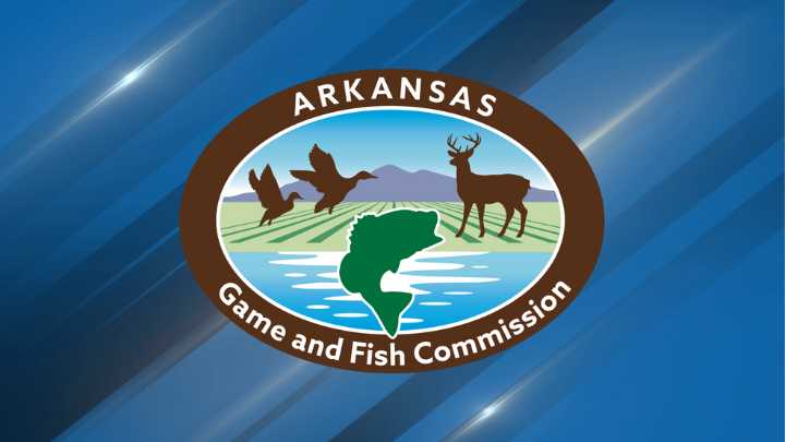 AGFC opens up registration for Axolotl owners who acquired pets before May 2024