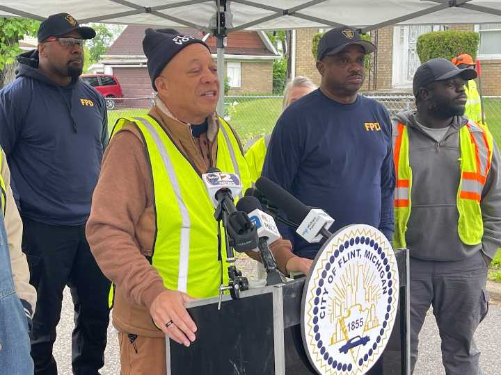Flint mayor helps clear branches, asks council to take down more dead trees