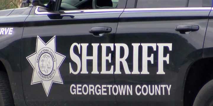 Juveniles accused of pointing guns at driver in Georgetown County, 1 charged