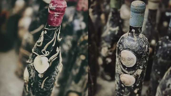 Wine company moves HQ from California to Oregon amid former criminal charges, environmental concerns