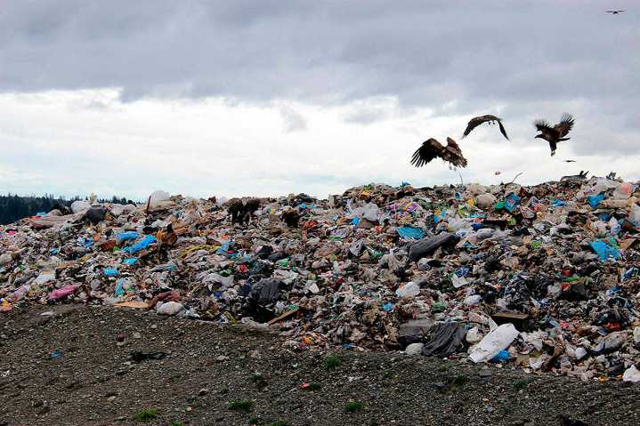 King County looks for trash solutions as landfill fills up