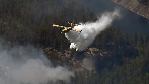 Deer Lake prepares to declare state of emergency over nearby wildfire