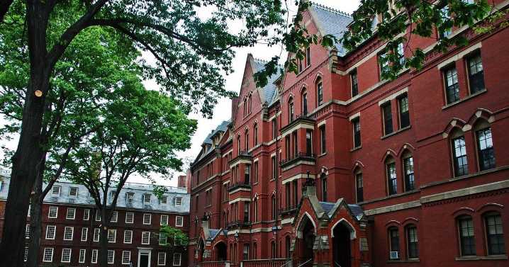 Trump defiende orden de vetar estudiantes extranjeros en Harvard: Sus países no pagan