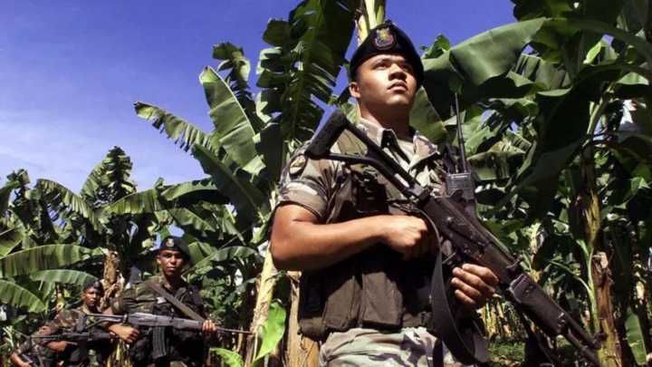 La oscura influencia en América Latina de la bananera de EE.UU. United Fruit Company y su heredera Chiquita Brands