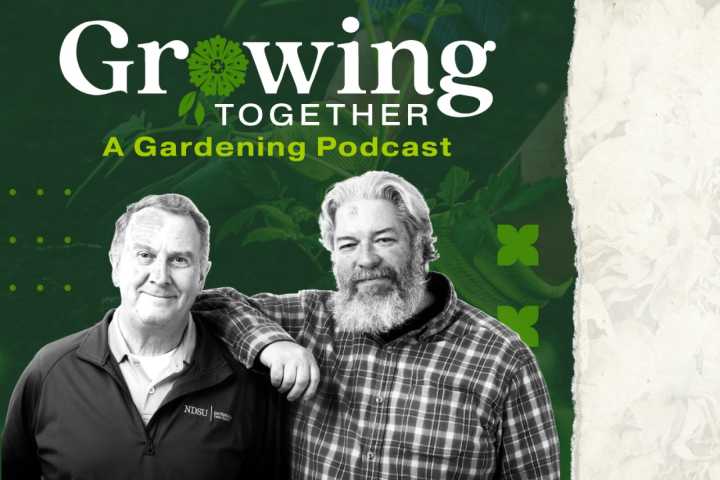 How to get a healthy lawn growing this spring