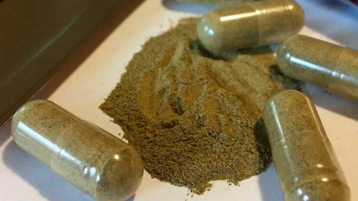 RI bill would ensure access to safe kratom products Lora Romney