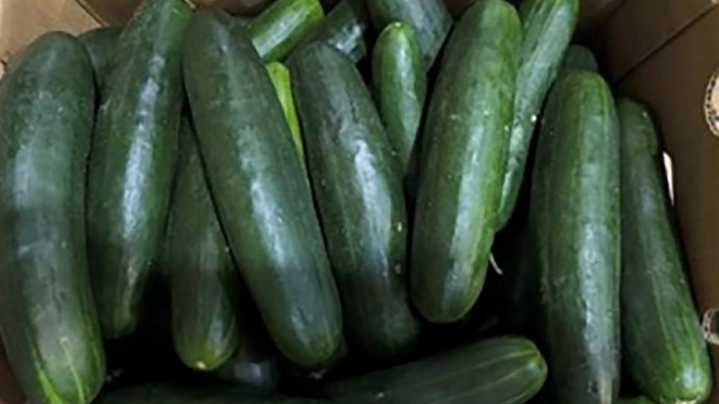 New salmonella outbreak tied to cucumbers sold in 15 states, including Ohio