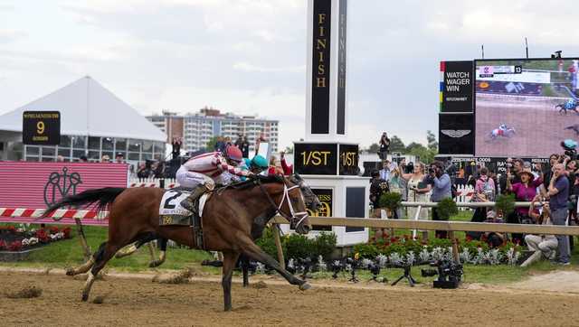 Journalism has won the 150th running of the Preakness Stakes
