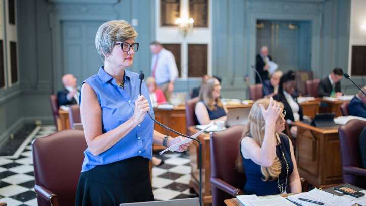 Inspector General Bill Passes Senate