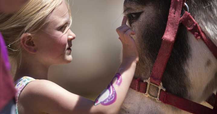 Summer festivals in Colorado | Arts & Entertainment