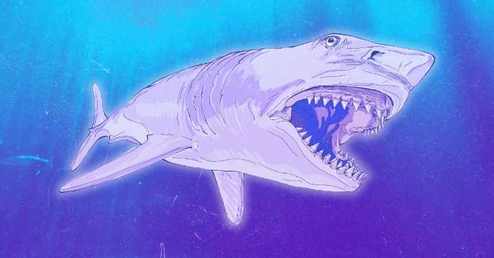 Megalodon Shark’s Diet Revealed, and It’s Not What Scientists Thought