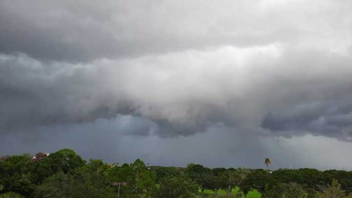 Severe Weather in Tampa Bay