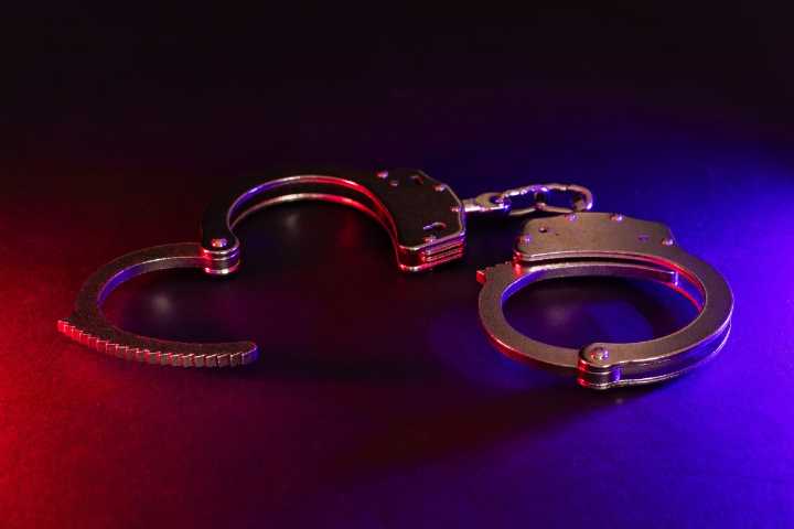 Influencer de Florida arrestada por grabar acto sexual con un perro a cambio de dinero