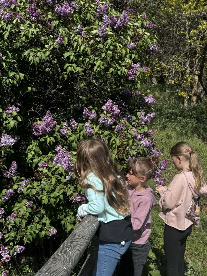 Veeder: Summer starts with mud puddles and dancing
